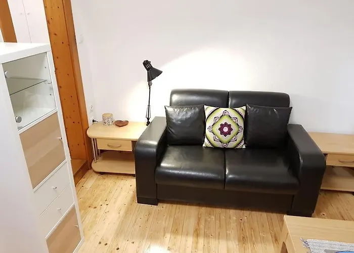 Komfortable Mit Garten Im Zentrum Von 公寓 格拉茨